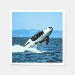 Serviette En Papier Baleine tueuse
