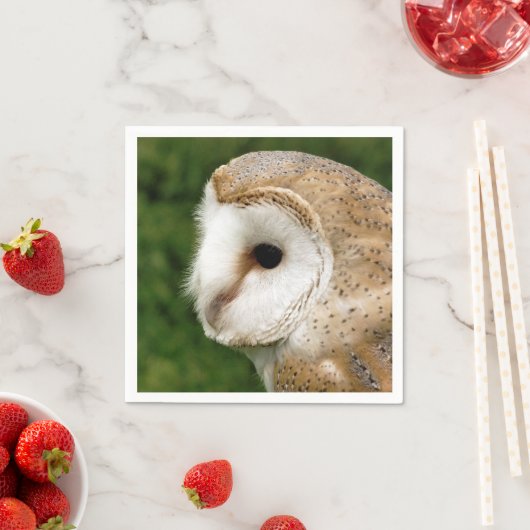 SERVIETTE EN PAPIER BARN OWL (En situation)