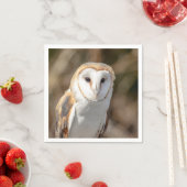 Serviette En Papier Barn Owl (En situation)