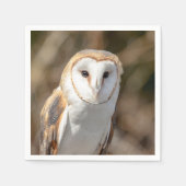 Serviette En Papier Barn Owl (Devant)