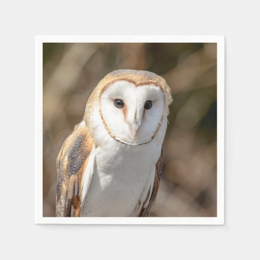 Serviette En Papier Barn Owl (Devant)