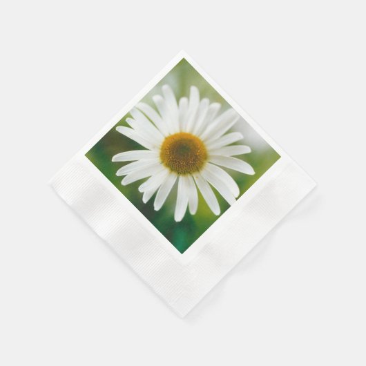 Serviette En Papier Basière oculaire blanche - Leucanthemum vulgare (Coin)