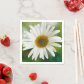 Serviette En Papier Basière oculaire blanche - Leucanthemum vulgare (En situation)