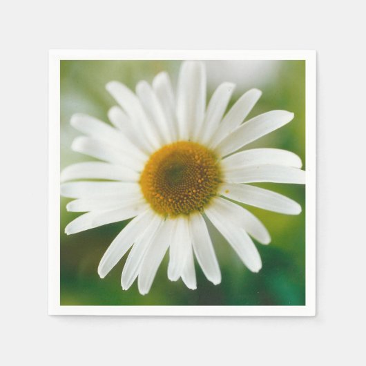 Serviette En Papier Basière oculaire blanche - Leucanthemum vulgare (Devant)