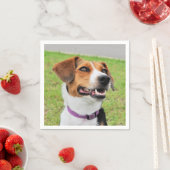 Serviette En Papier Beagle (En situation)