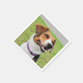 Serviette En Papier Beagle (Coin)