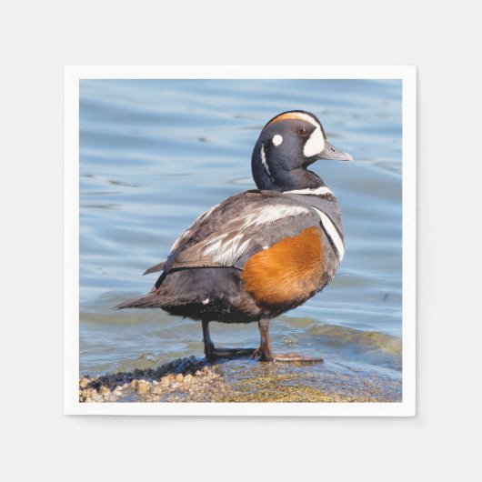 Serviette En Papier Beau canard arlequin sur le rocher (Devant)