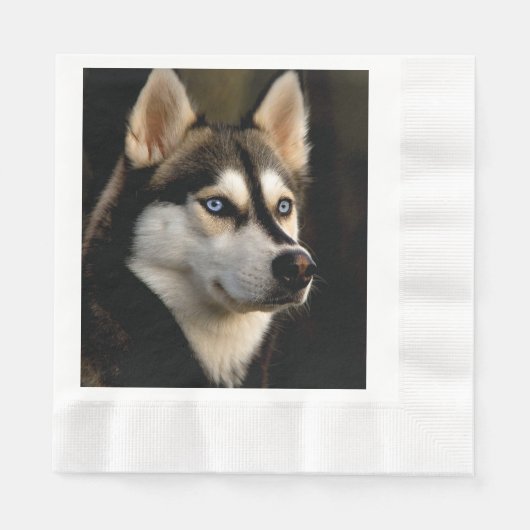 Serviette En Papier Beau Oreiller Husky Lrow (Devant)