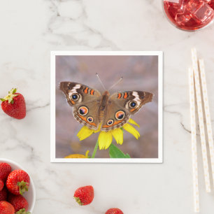 Serviette En Papier Beau papillon sur fleur jaune
