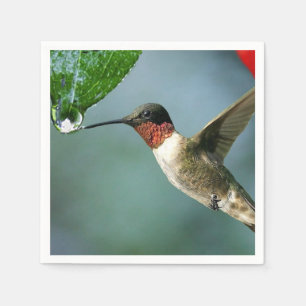 Serviette En Papier Beau paysage de nature de colibri