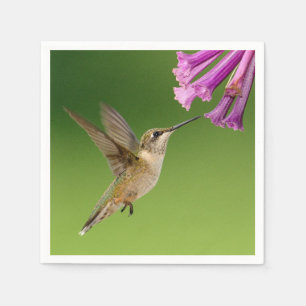 Serviette En Papier Beau paysage de nature de colibri