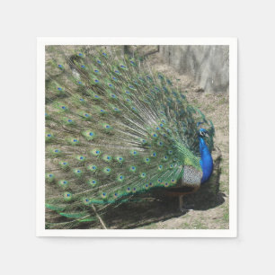 Serviette En Papier Beau Peacock