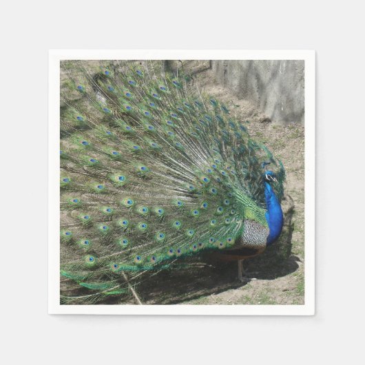 Serviette En Papier Beau Peacock (Devant)