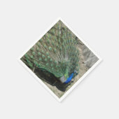 Serviette En Papier Beau Peacock (Coin)