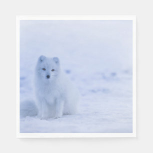 Serviette En Papier Beau renard arctique
