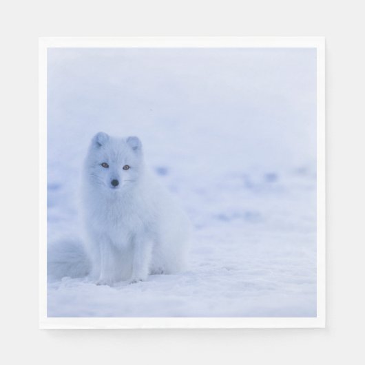 Serviette En Papier Beau renard arctique (Devant)