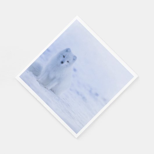 Serviette En Papier Beau renard arctique (Coin)