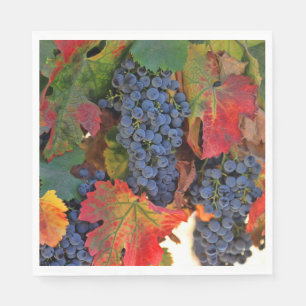 Serviette En Papier Beau Vin à thème Automne Vignoble