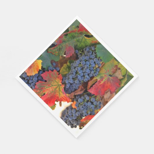 Serviette En Papier Beau Vin à thème Automne Vignoble (Coin)