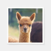 Serviette En Papier Bébé Alpaca Standard Cocktail Napkin (Devant)