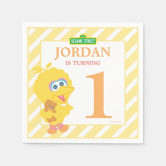 Serviette En Papier Bébé Big Bird Papier Anniversaire (Devant)
