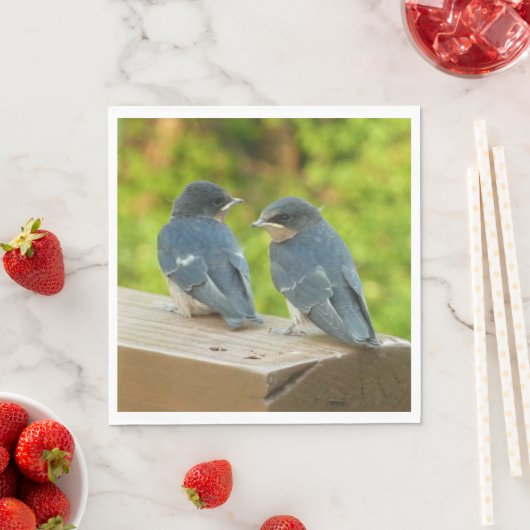 Serviette En Papier Bébé Grange hirondelle Nature Oiseau Photographie (En situation)