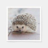 Serviette En Papier Bébé hérisson   (Devant)