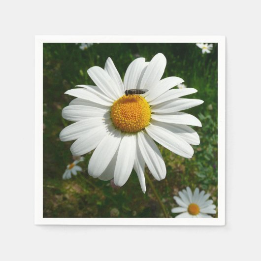 Serviette En Papier Bee on Daisy Alaskan Summer Nature (Devant)