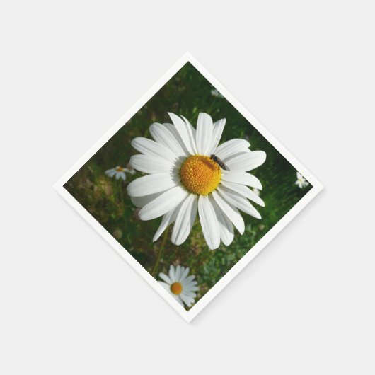 Serviette En Papier Bee on Daisy Alaskan Summer Nature (Coin)
