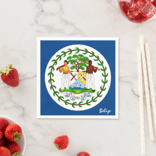 Serviette En Papier Belize & Belize Flag party mode / fans de sport