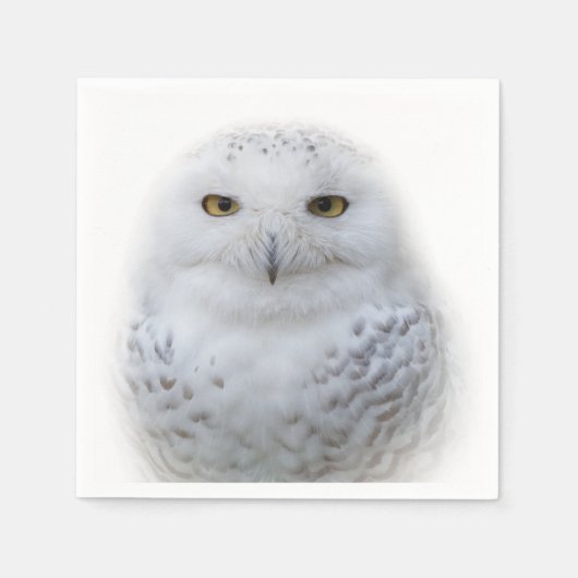 Serviette En Papier Belle, Dreamy et Serene Snowy Owl (Devant)