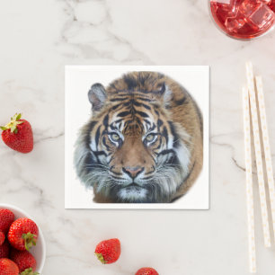 Serviette En Papier Belle photo du visage du tigre du Bengale
