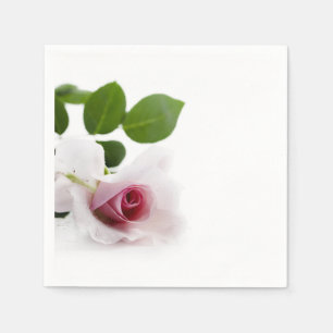 Serviette En Papier Belle rose rose sur arrière - plan blanc