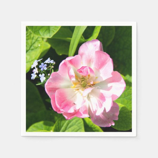 Serviette En Papier Belle tulipe rose (Devant)