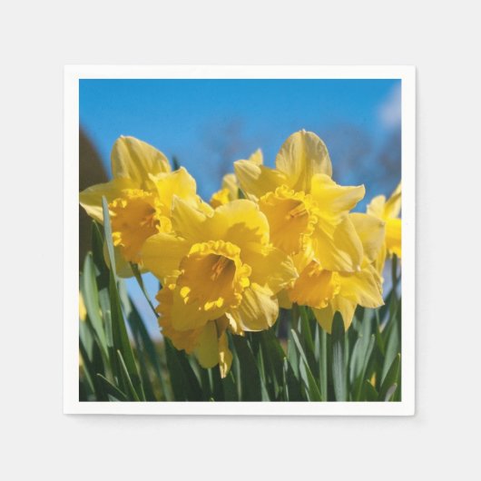 Serviette En Papier Belles Daffodiles Jaunes (Devant)