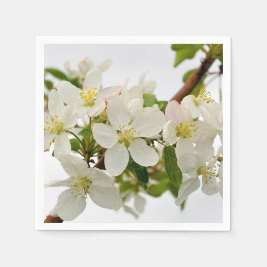 Serviette En Papier Belles fleurs blanches (Devant)