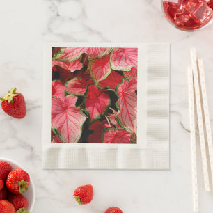 SERVIETTE EN PAPIER BELLES PLANTES DE CALADIUM ROSE CLAIR