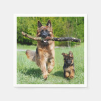 Berger allemand