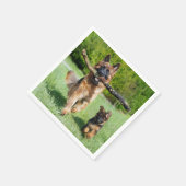 Serviette En Papier Berger allemand (Coin)