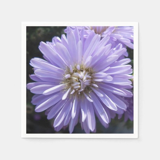 Serviette En Papier Berlinette (Devant)