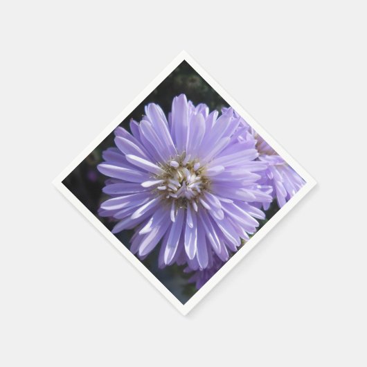 Serviette En Papier Berlinette (Coin)