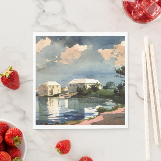 Serviette En Papier Bermudes, Bouteilles de sel (En situation)