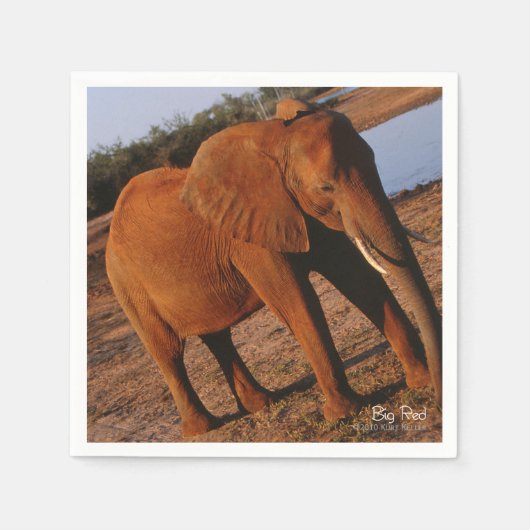 Serviette En Papier Big Red (Devant)