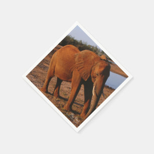 Serviette En Papier Big Red