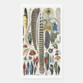 Serviette En Papier Bird Feather Wildlife Antique Feathers Art Nouveau (Devant)