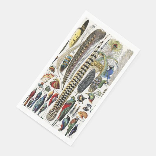 Serviette En Papier Bird Feather Wildlife Antique Feathers Art Nouveau (Coin)