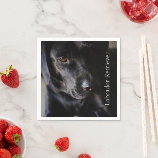 Serviette En Papier Black Labrador Retriever (En situation)