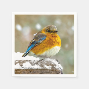 Serviette En Papier Bleuet de l'Est en neige - Photo originale