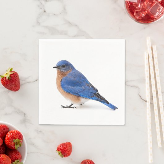 Serviette En Papier Bluebird (En situation)