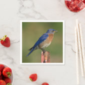 Serviette En Papier Bluebird (En situation)
